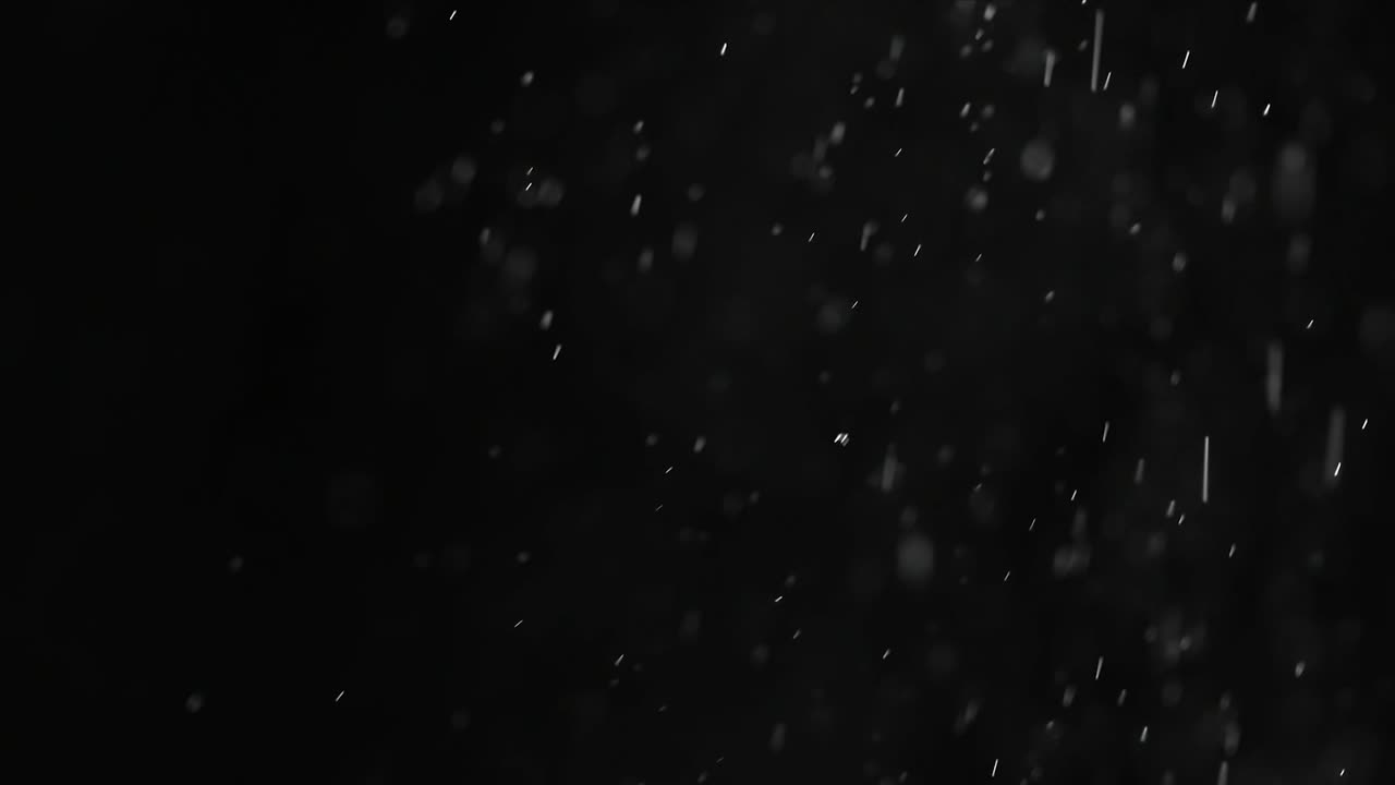 날아가는 하얀 입자