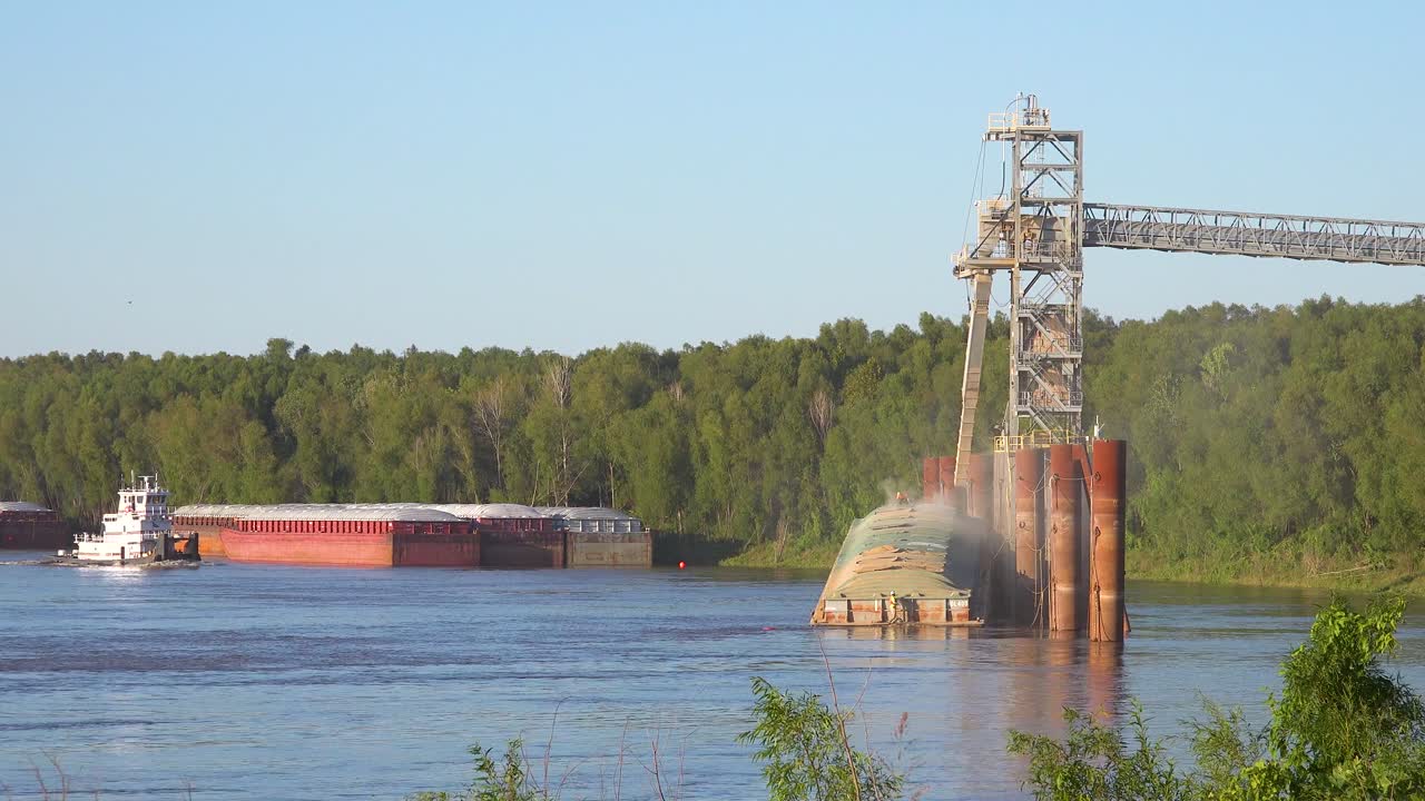 рабочие загружают зерновую баржу на реке миссисипи, в то время как рядом прибывает буксир