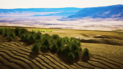 hermosa duna de arena naranja amarilla en el desierto de asia central
