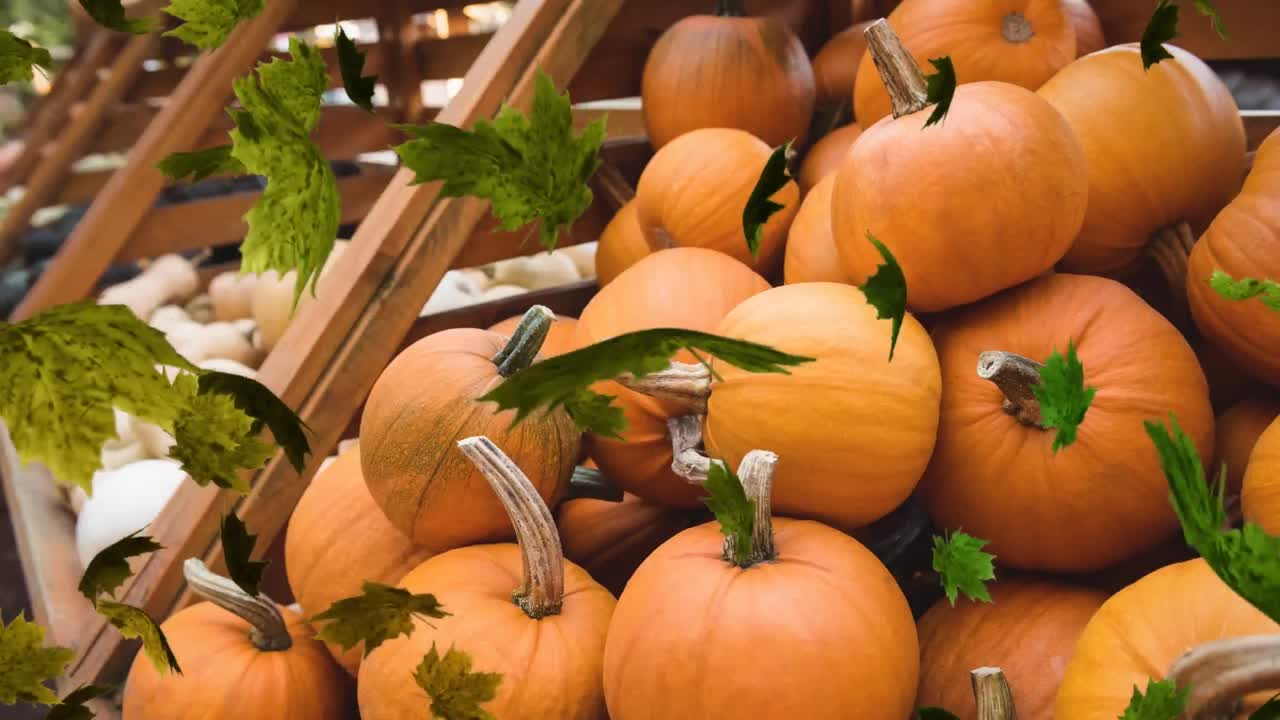 animación de hojas de otoño que caen sobre las calabazas en los estantes