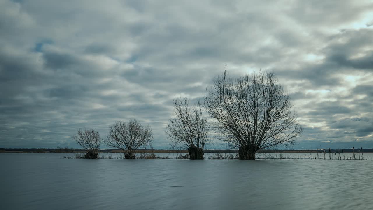 Barren Willow Trees On Flooded Fields By The River With Overcast In Poland