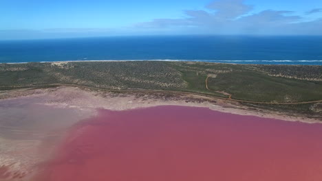 Vista-Aérea-Del-Lago-Salado-Rosa,-Australia-3