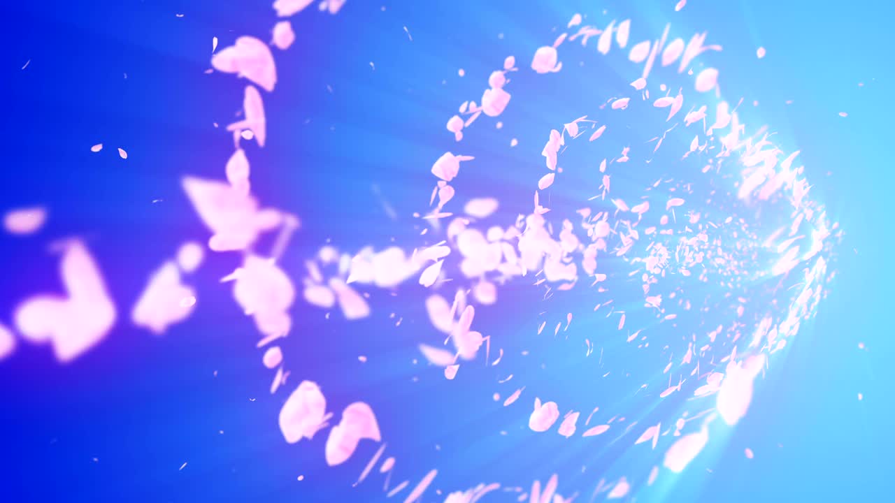 꽃의 나선형 반이는 입자, 사쿠라 패턴, 일본의 꽃 춤, 분홍색 꽃잎의 소용돌이, 추상적인 루프 애니메이션.