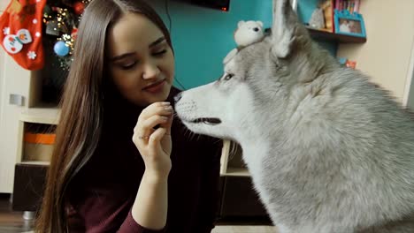 a young woman is extinguishing a dog with a delicacy.