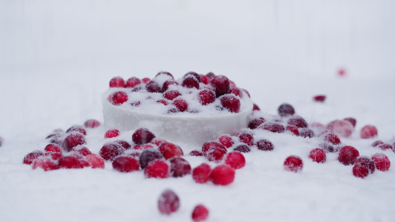 얼어붙은 크랜베리