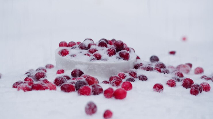 Frozen Cranberries in Snow