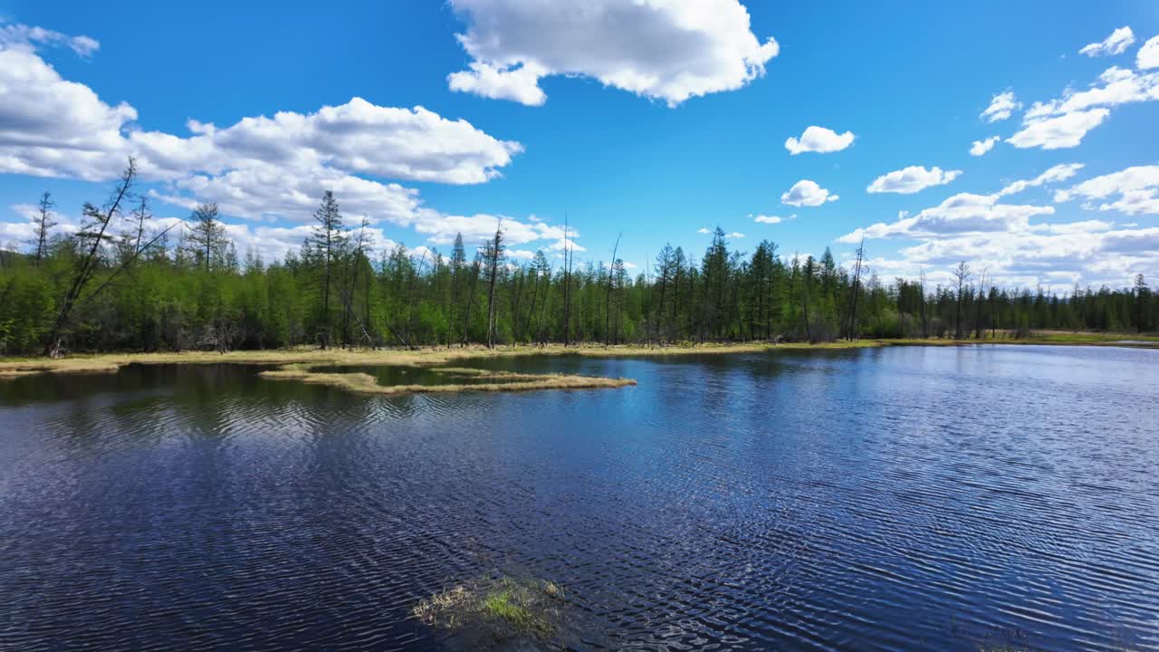 una escena de verano pacífica con un lago rodeado de árboles verdes y un cielo azul claro