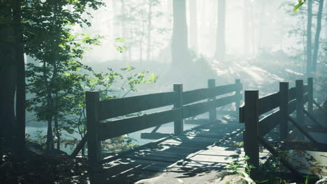 Holzbrücke-In-Den-Wald-Mit-Fluss