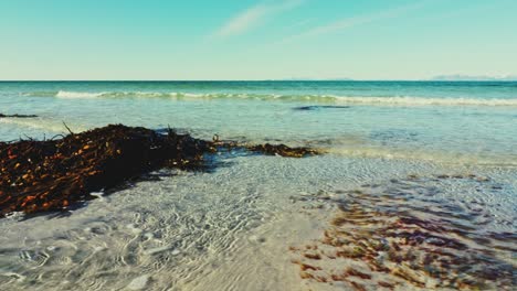 caminando por la playa cubierta de pilas de algas en un día soleado
