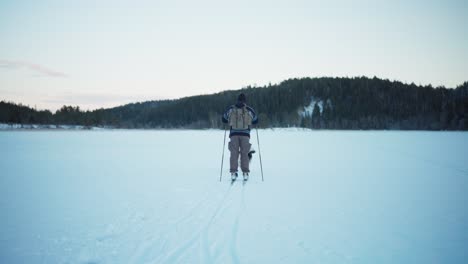 Indre-Fosen,-Condado-De-Trondelag,-Noruega---Un-Hombre-Y-Su-Perro-Esquiando-En-El-Campo-Cubierto-De-Nieve-Cerca-De-Las-Montañas---Toma-Estática