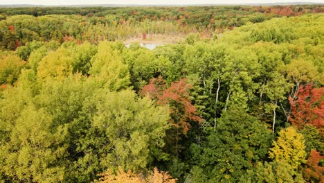 Luftsicht-Oder-Orangen-Und-Rottöne,-Die-Auf-Herbstlaub-Blühen