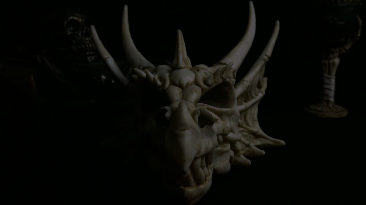 판타지 뼈 드래곤 두개골의 제품 촬영