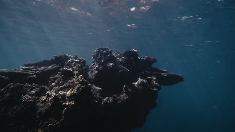 rocky outcropping of coral as light shines through water in dazzling pattern