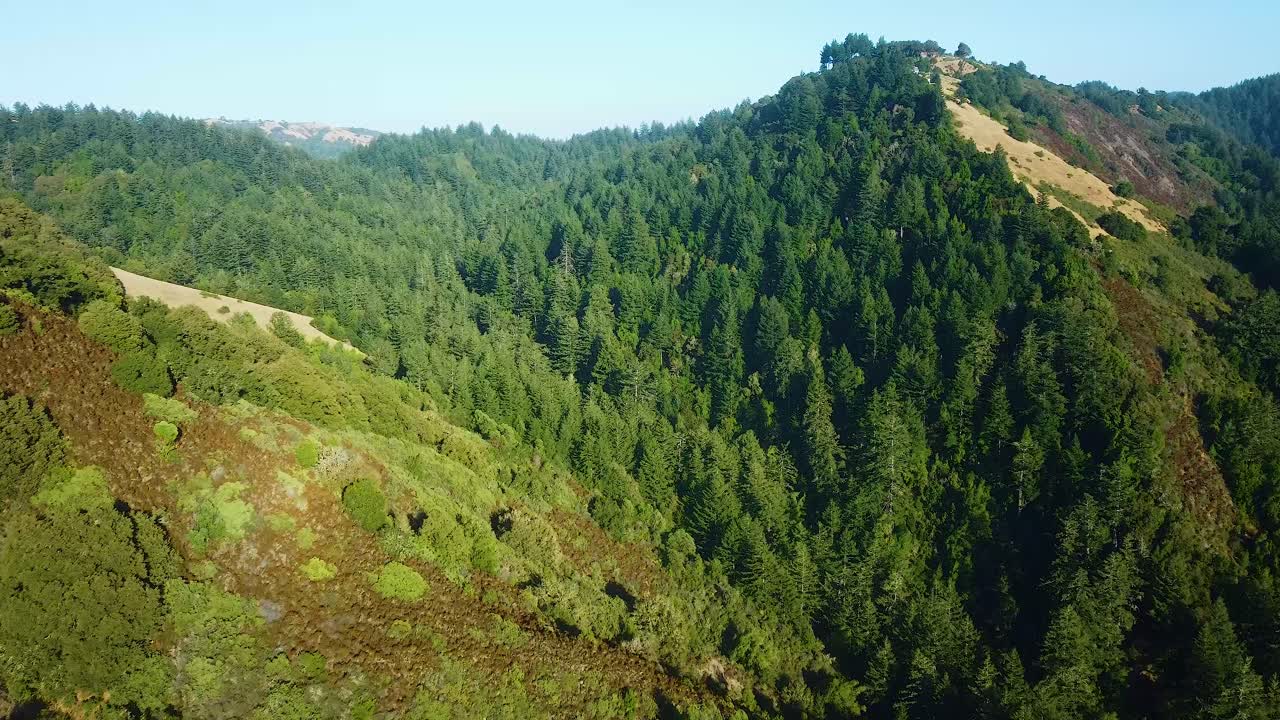 vista superior de la densa naturaleza de la reserva de espacio abierto de skyline ridge en la honda, california, estados unidos