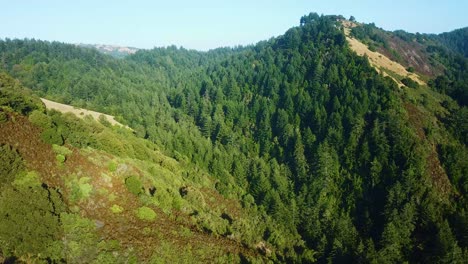 Above-View-Of-Dense-Nature-Of-Skyline-Ridge-Open-Space-Preserve-In-La-Honda,-California,-United-States