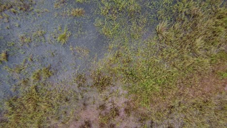 Toma-Aérea-De-La-Zona-Pantanosa-Inundada-De-Agua