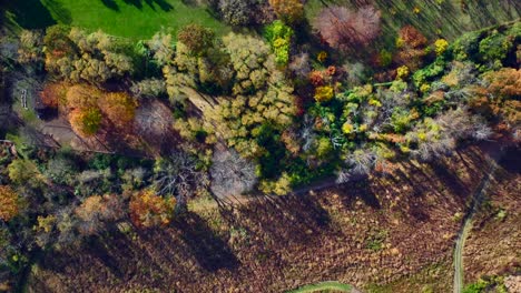 Una-Vista-Aérea-De-Arriba-Hacia-Abajo-Sobre-árboles-Coloridos-En-Un-Día-Soleado-En-Nueva-Jersey