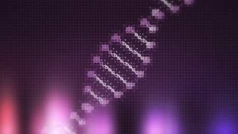 Animation-of-purple-DNA-strain-spinning-on-purple-and-black-background