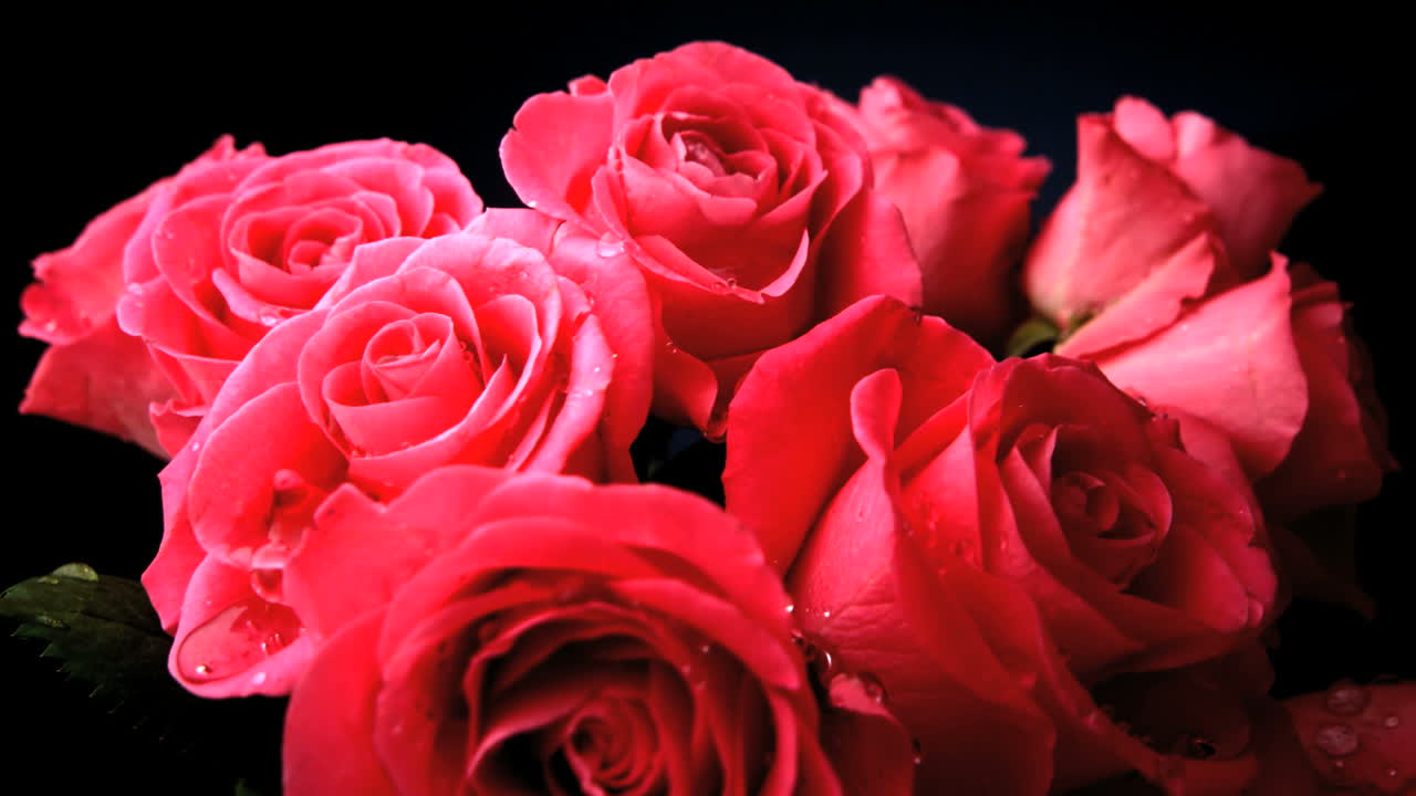 капли дождя падают на цветы.