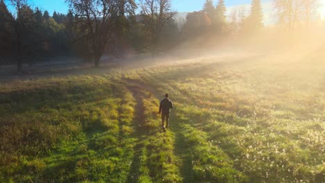 Filmflug-Am-Morgen-In-Einem-Wald