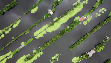 bird's eye view over village scheendijk in dutch landscape in the netherlands - drone shot