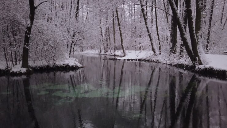 Riserva Naturale Niebieskie Zrodla durante l'inverno nevoso in Polonia, con ripresa panoramica