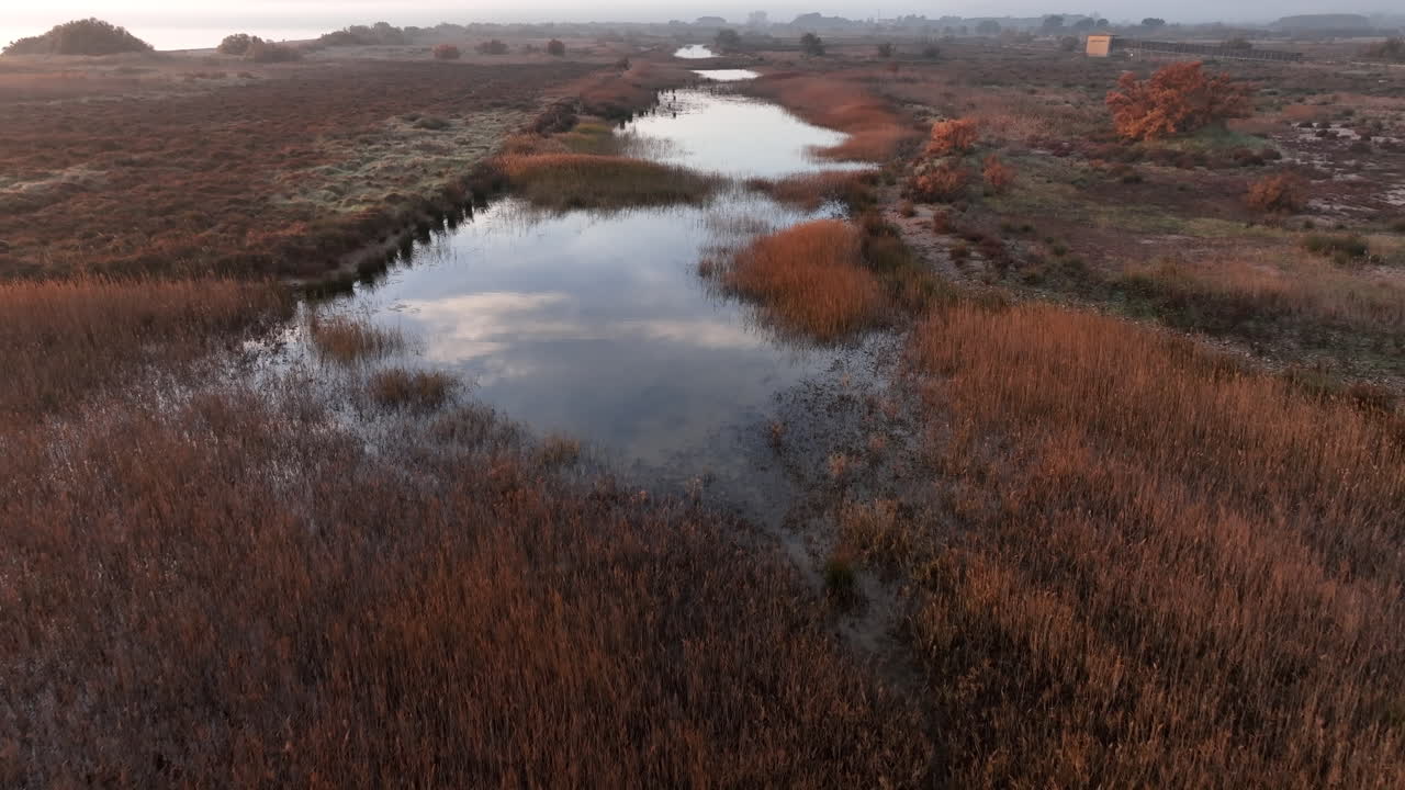 Estartit marshland pools in meadows close to Costa Brava beach shore at sunrise, Aerial forward moving view