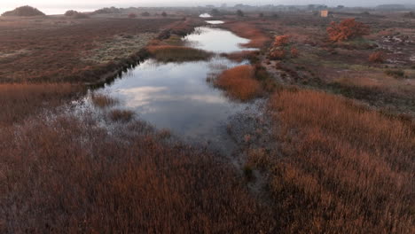 Estartit-marshland-pools-in-meadows-close-to-Costa-Brava-beach-shore-at-sunrise,-Aerial-forward-moving-view