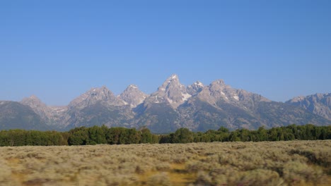 majestic peaks of the teton range rise above forested slopes and golden grasslands in grand teton national park. a crisp, clear view of wyoming’s rugged alpine beauty under blue skies