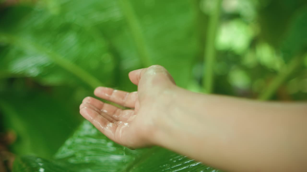 close-up of hand under falling water droplets over vibrant green tropical leaves