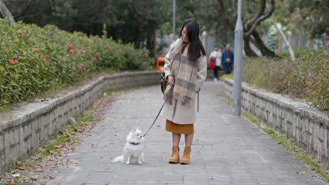 woman and dog in the street