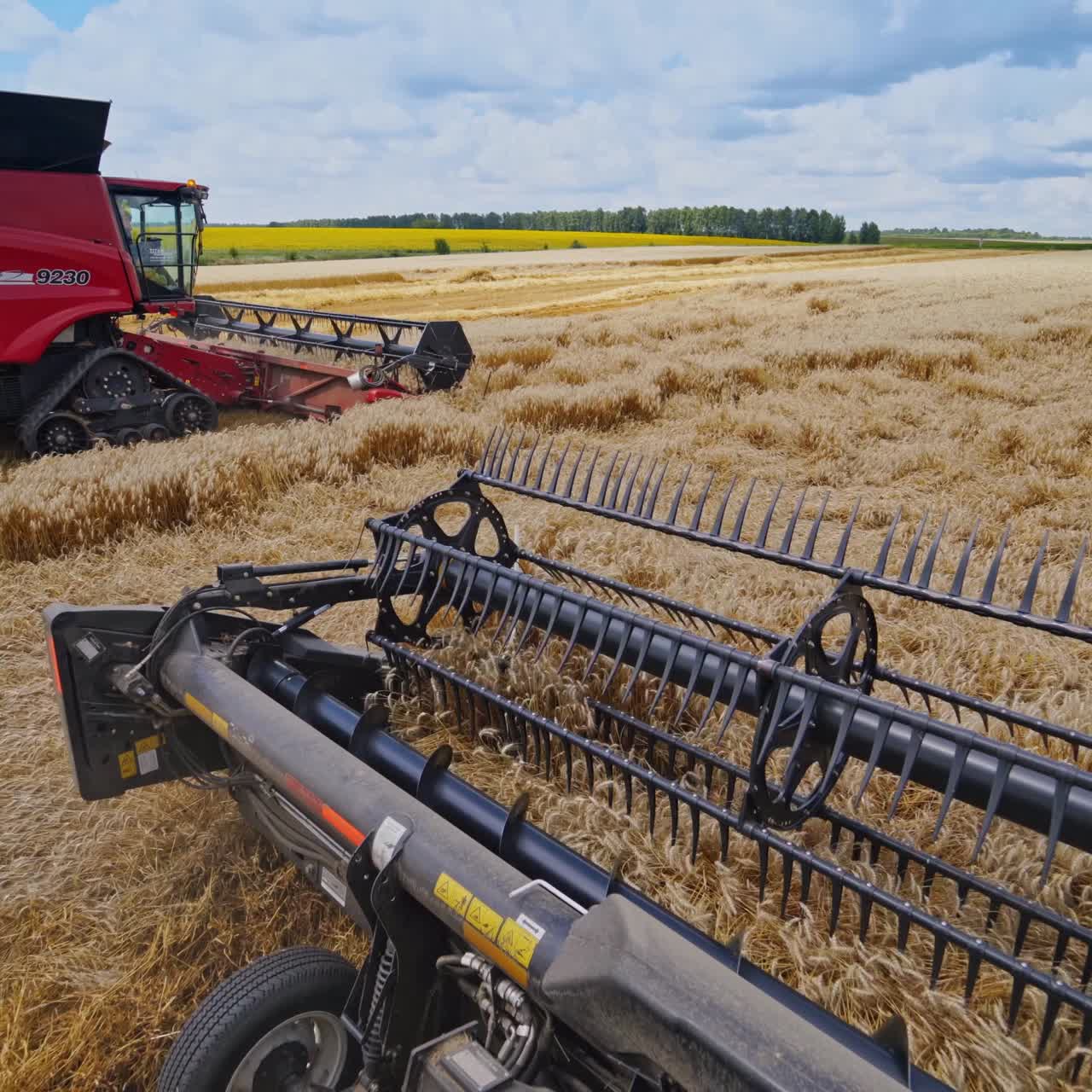 ⁇  에서 일 하는 수확기 기계