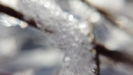 겨울의 숲. 추상적인 배경. 눈과 빛.