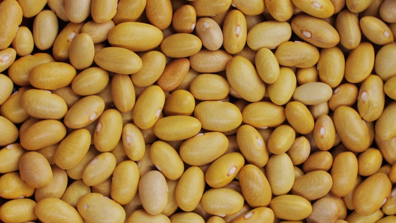Close Up View of Dry Yellow Beans Zooming In