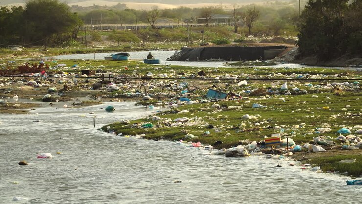 Tragic sight of large scale pollution along freshwater river system
