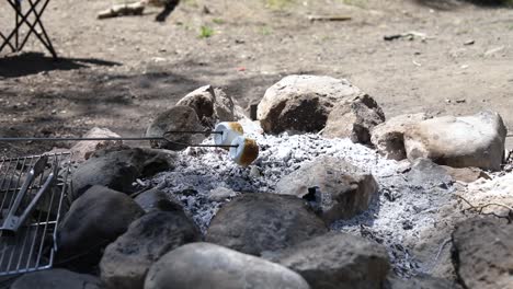 shot of someone roasting a golden brown marshmallow on a metal skewer to make s'mores