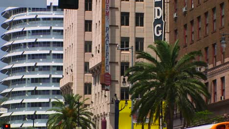 el viento sopla palmeras en hollywood