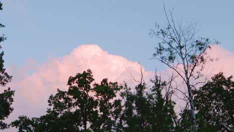 pink fairy sky clouds fantasy dreams magenta background