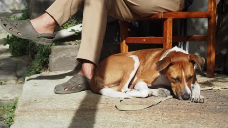 a man sits on a chair outside with his dog, who is sleeping on the ground at his feet.