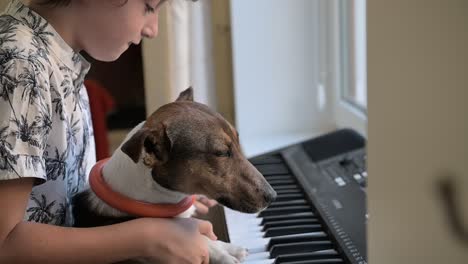 boy sitting in front of a piano with his dog. grabs his dog's paws to play the keyboard