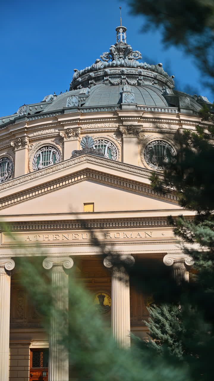 The Romanian Athenaeum at sunset. Fig tree branches in foreground. Vertical shot. Bucharest, Romania