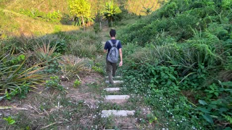 rear wide shot of man going down stairs in hill landscape with pineapple plants