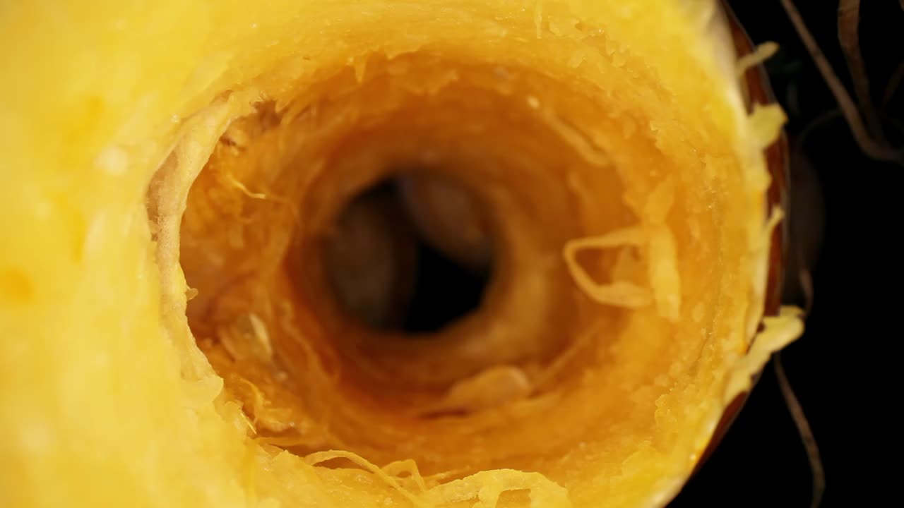 Starting just outside of the opening of a cored gourd, moving into the core just far enough to fill the frame