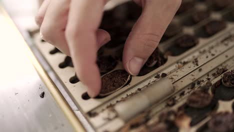 white caucasian hand selecting a chocolate bean