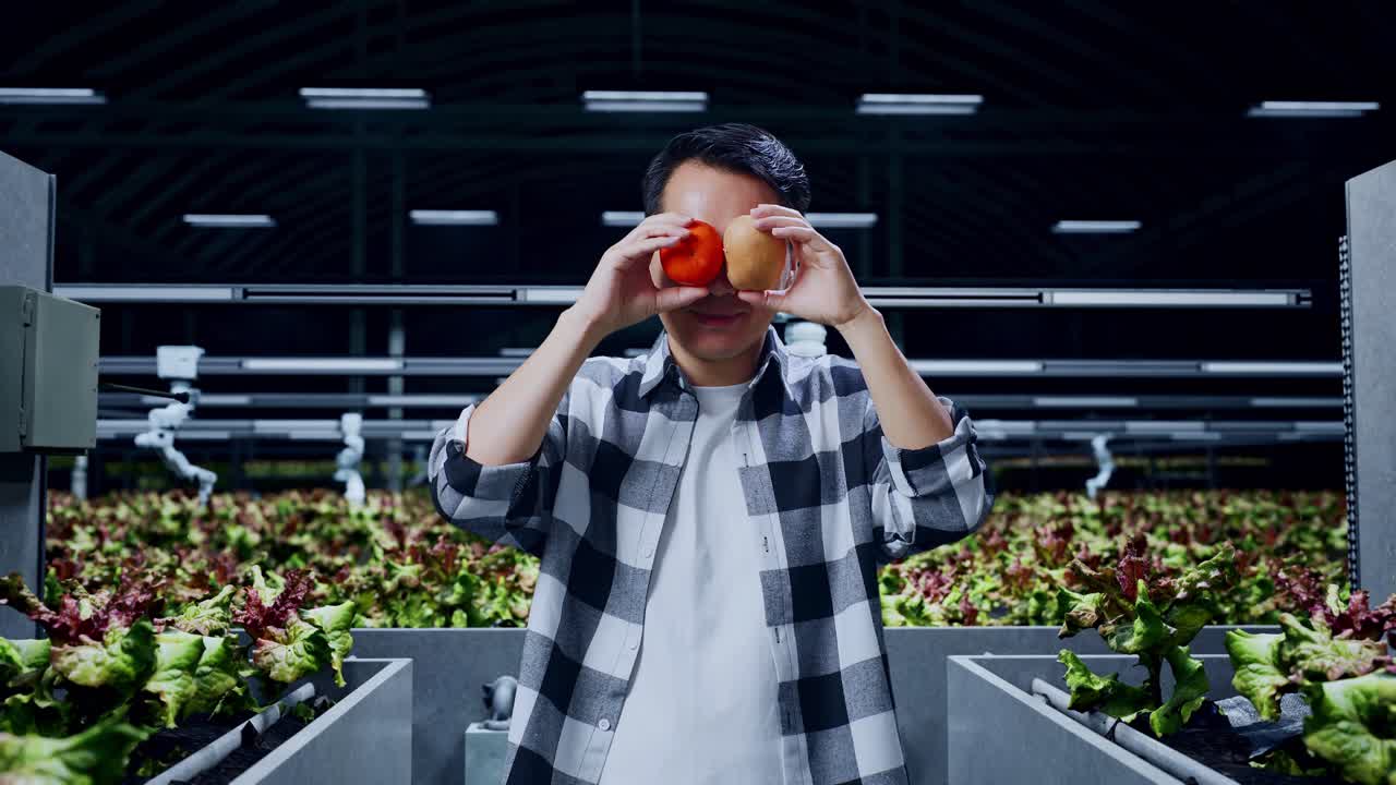 un granjero asiático juega con patatas y tomates en una granja inteligente.