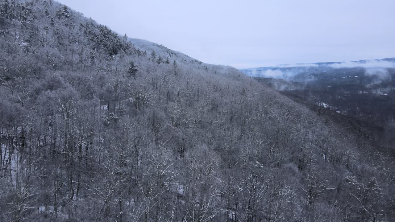 눈 덮인 숲을 날고 눈 덮인 산비탈과 먼 계곡을 드러내기 위해 패닝
