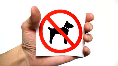 no dogs allowed sign isolated. hand showing warning sign no dogs