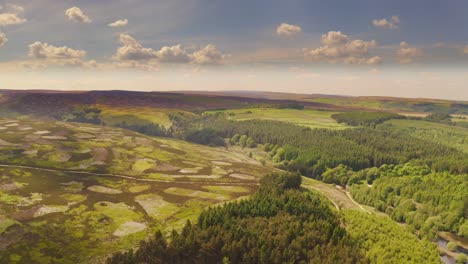 enormous langsett peak district national park flora aerial