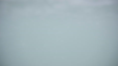 Back-Shot-Of-Asian-Male-Surfer-In-Sea-Waves