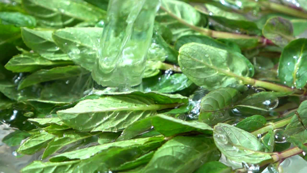 Caduta di foglie di menta in una ciotola con acqua. Movimento lento